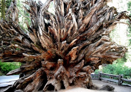 f:id:ikomanokaze:20091006234343j:image