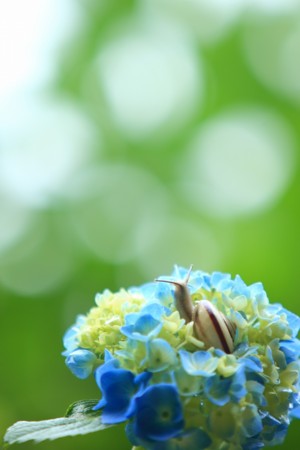 f:id:ikomanokaze:20140704161304j:image f:id:ikomanokaze:20140704161304j:image