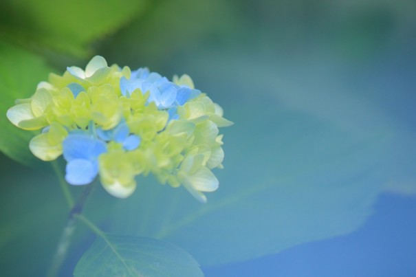 f:id:ikomanokaze:20140704162057j:image f:id:ikomanokaze:20140704162057j:image