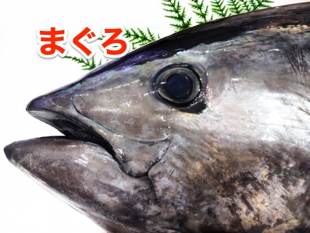 f:id:ikopu:20180910003730j:plain f:id:ikopu:20180910003730j:plain