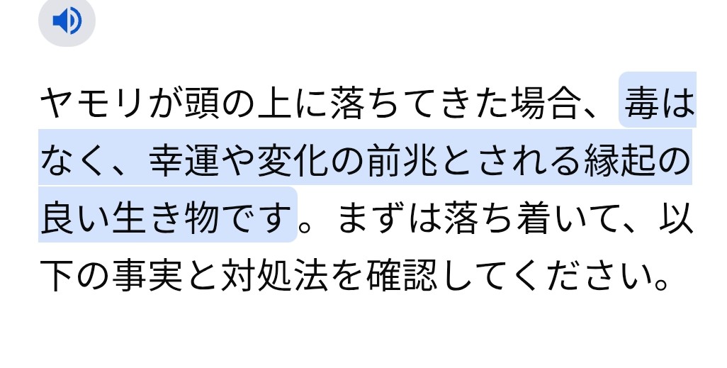 f:id:ikori:20261014133317j:image