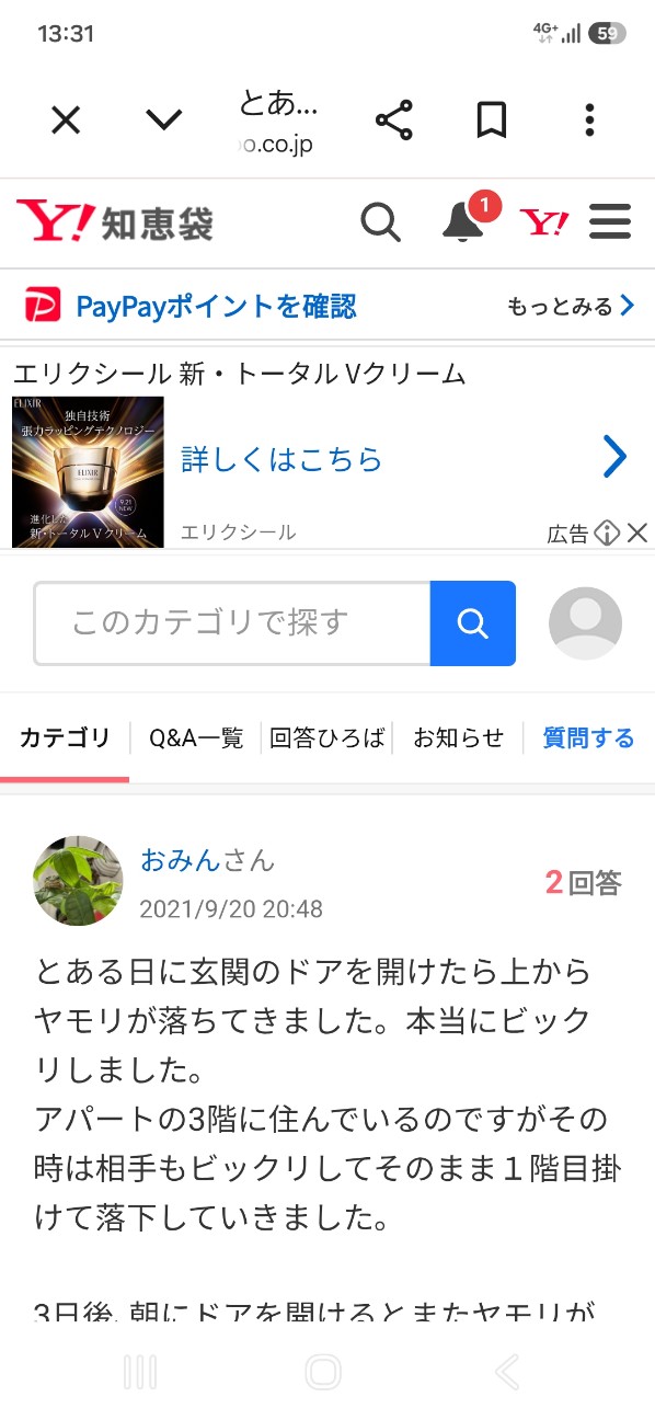 f:id:ikori:20261014133321j:image