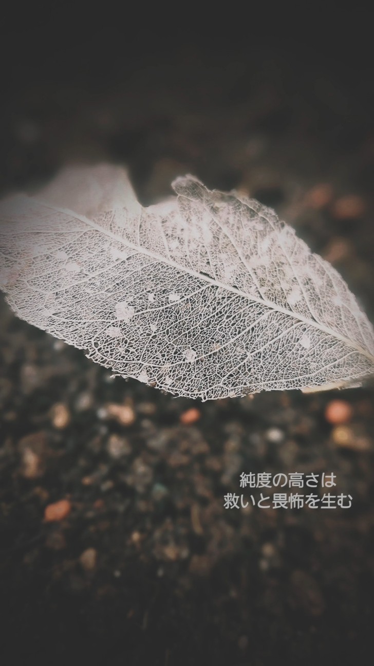 f:id:ikori:20261018210854j:image