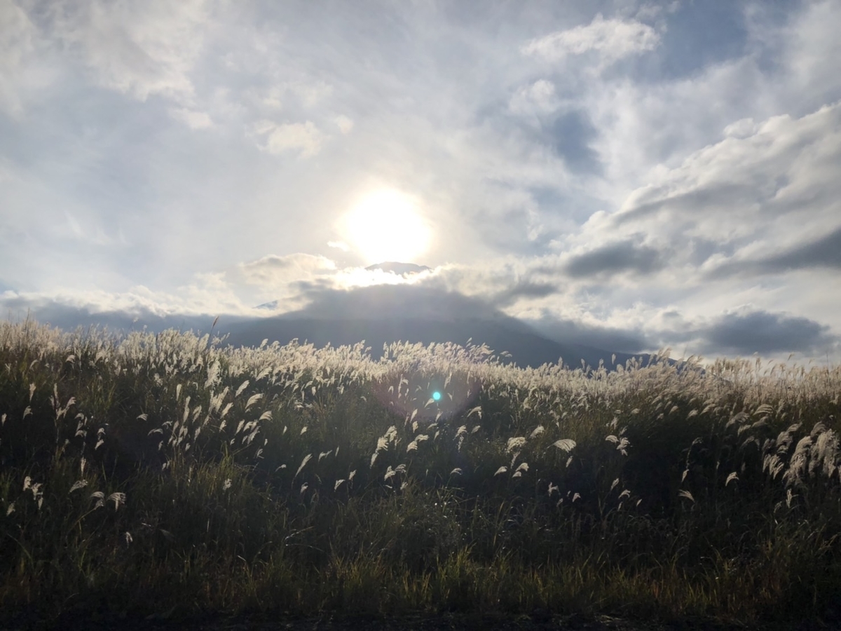 f:id:ikotama:20211026172023j:plain