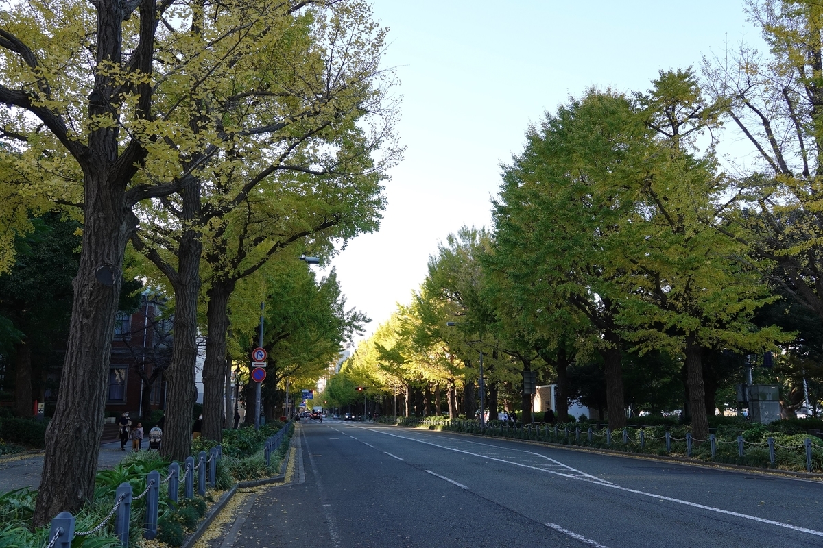 f:id:ikotama:20211116102529j:plain