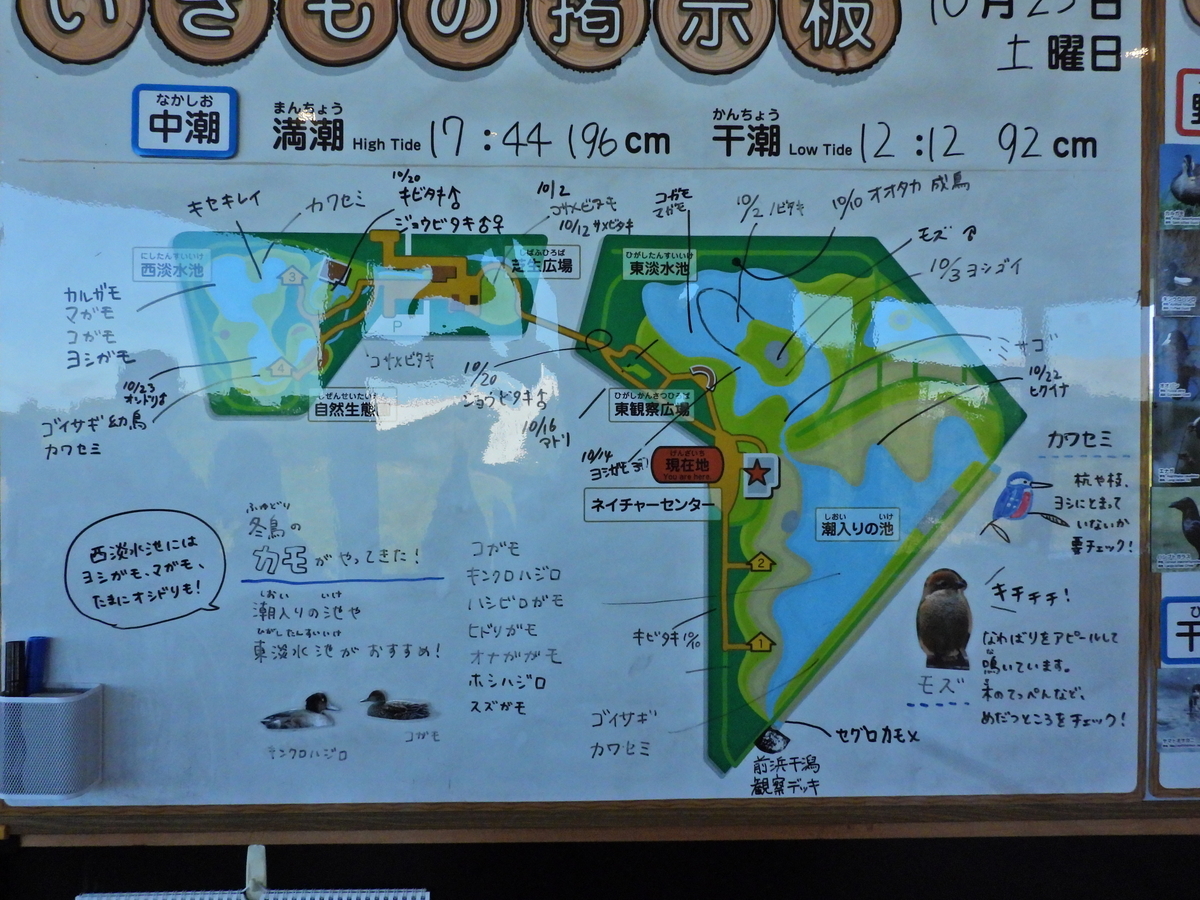 f:id:ikotama:20211119154939j:plain