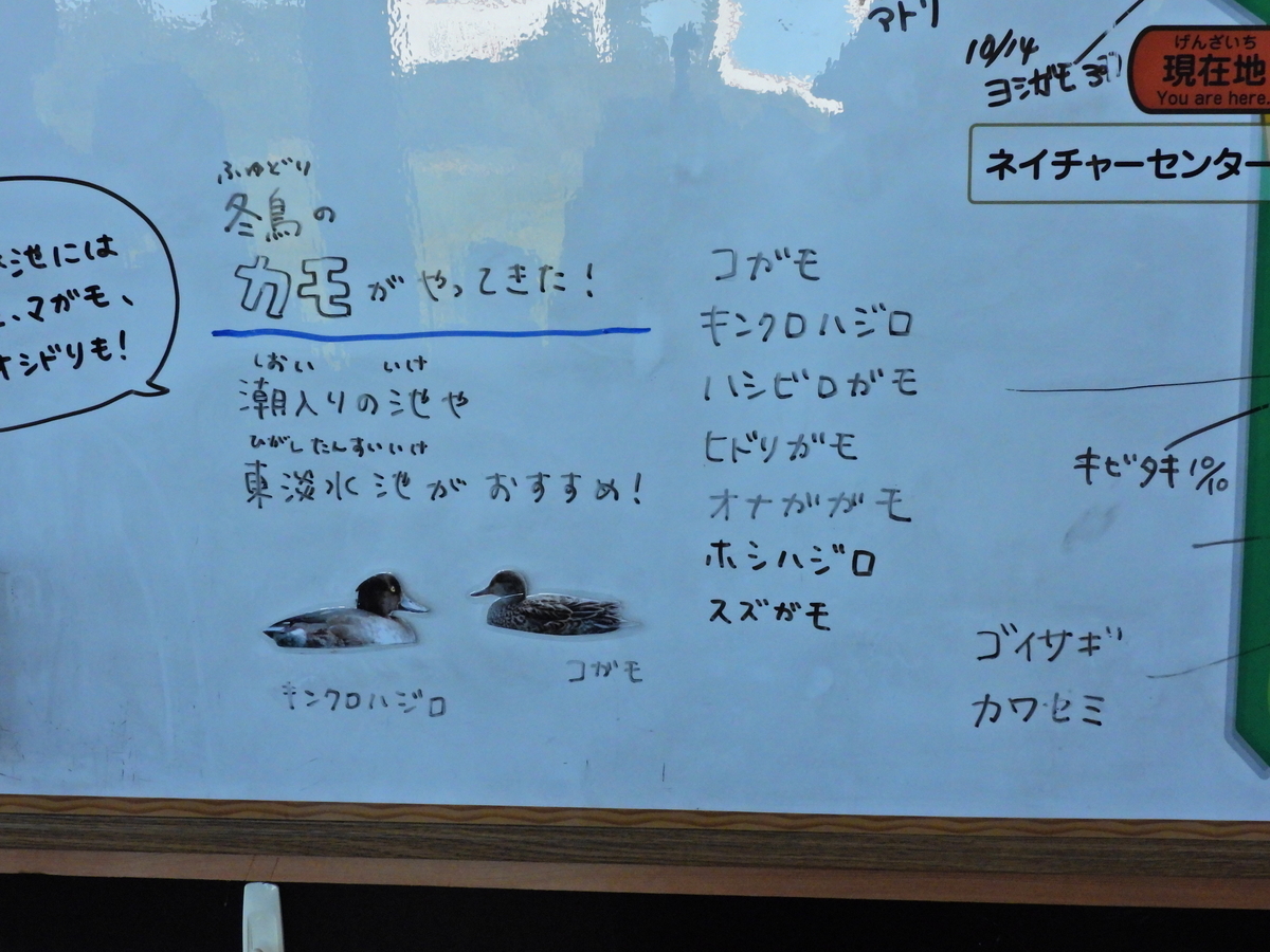 f:id:ikotama:20211119155000j:plain