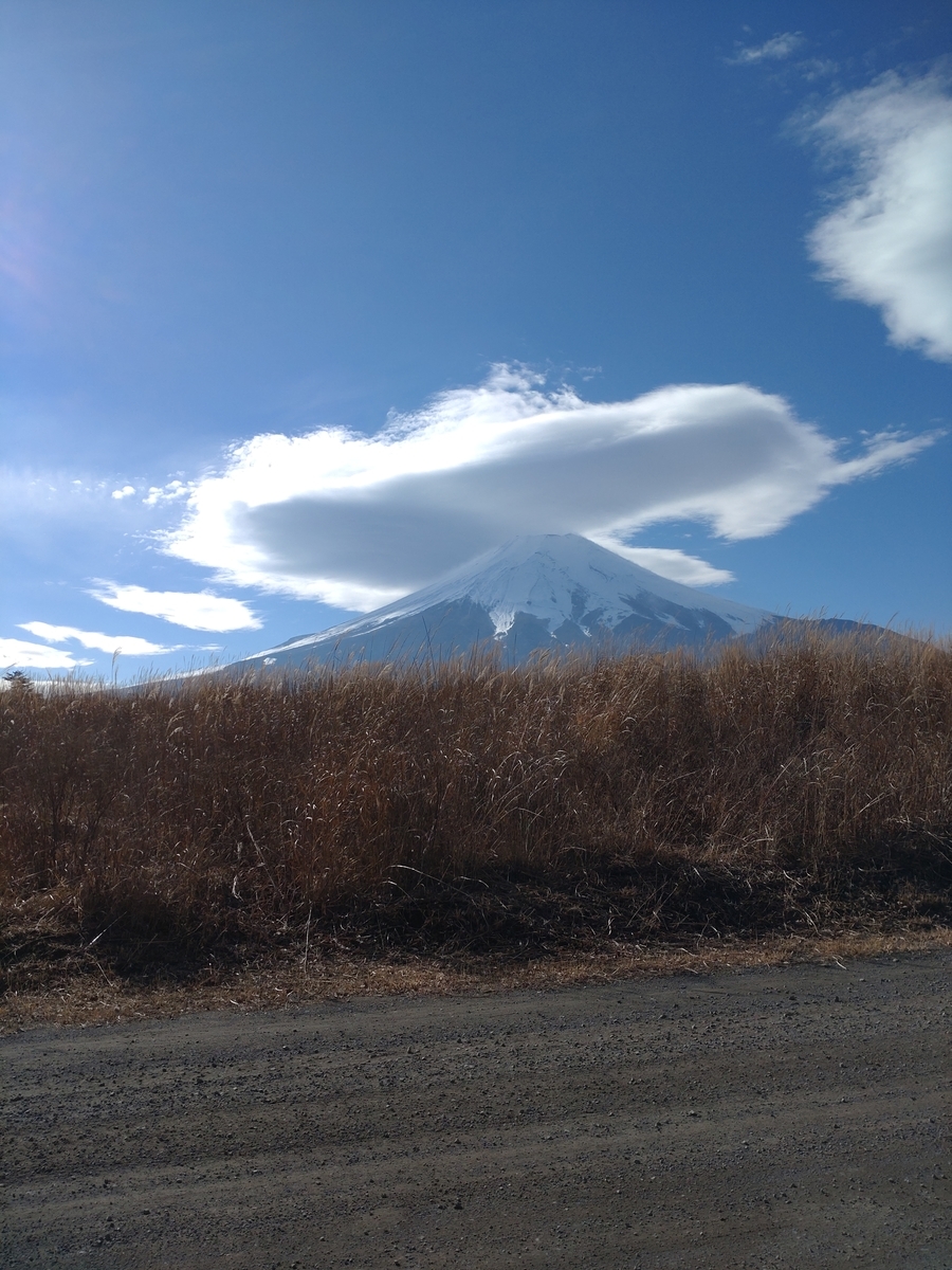 f:id:ikotama:20211216150835j:plain