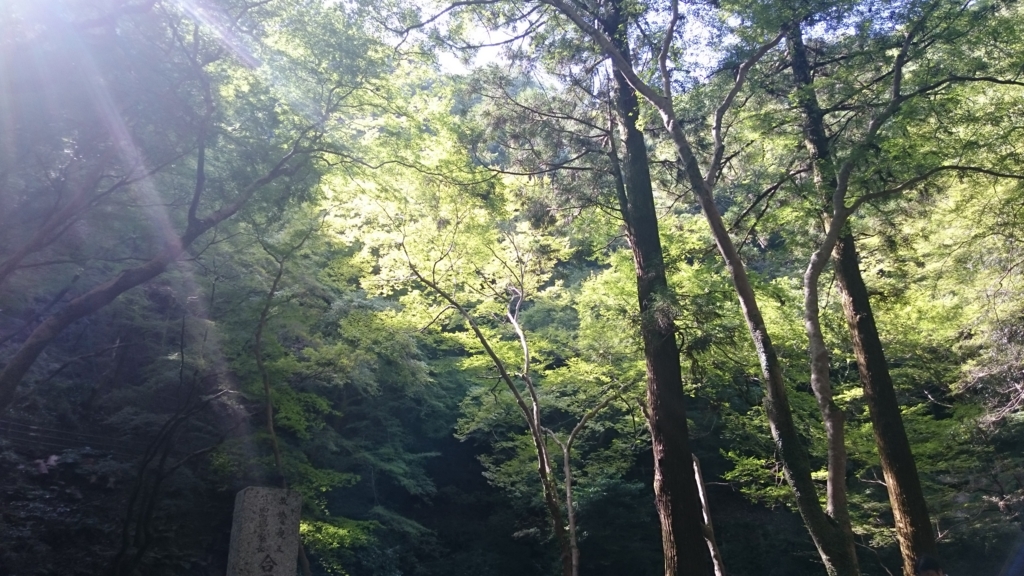f:id:ikoyarap:20150922134736j:plain