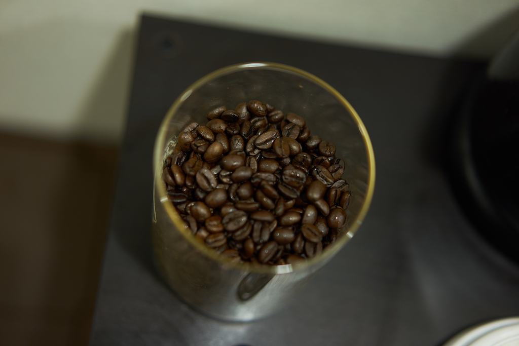 f:id:ikoyarap:20190203202051j:plain f:id:ikoyarap:20190203202051j:plain
