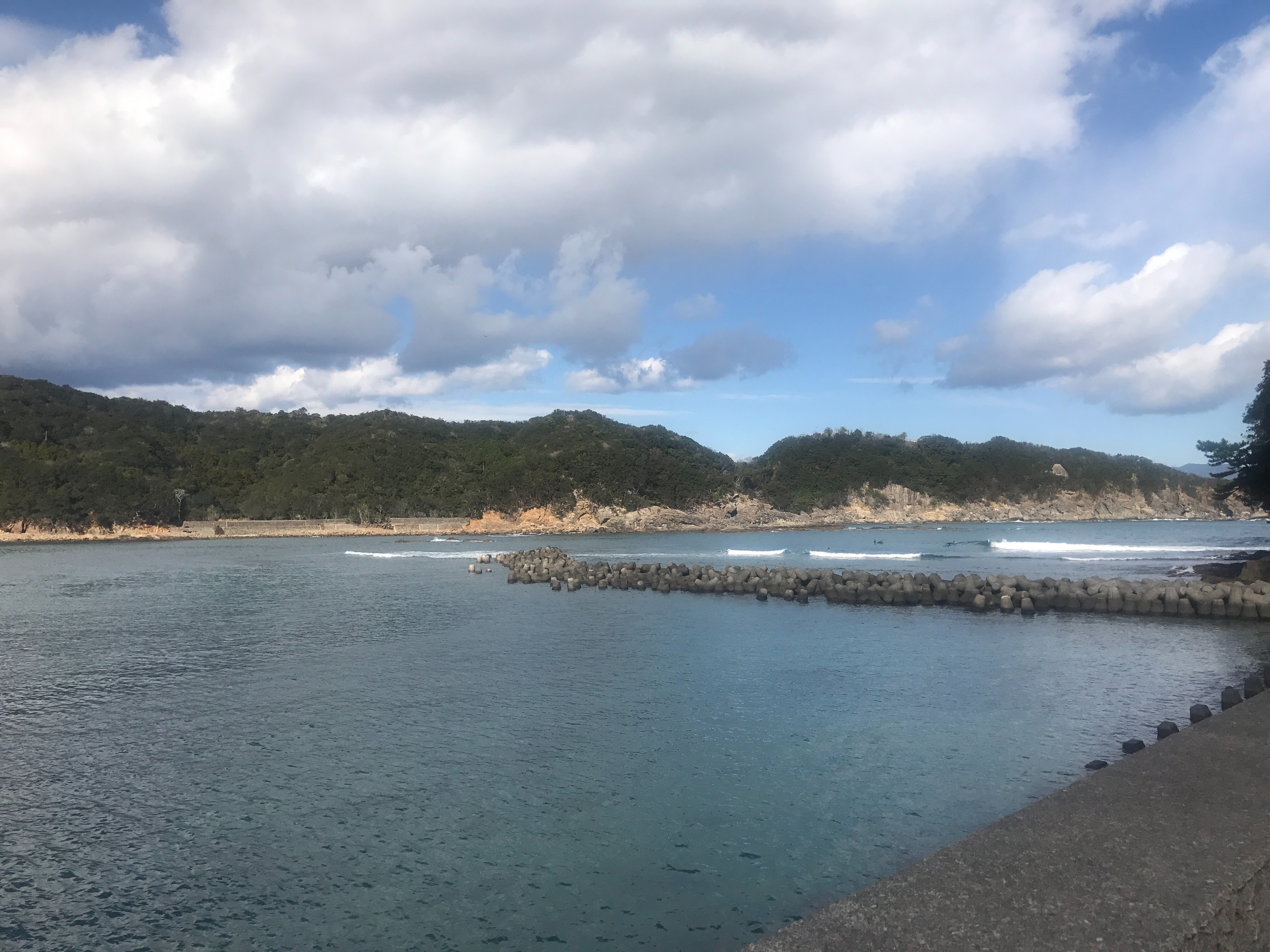 f:id:ikt_japan:20200201084149j:image