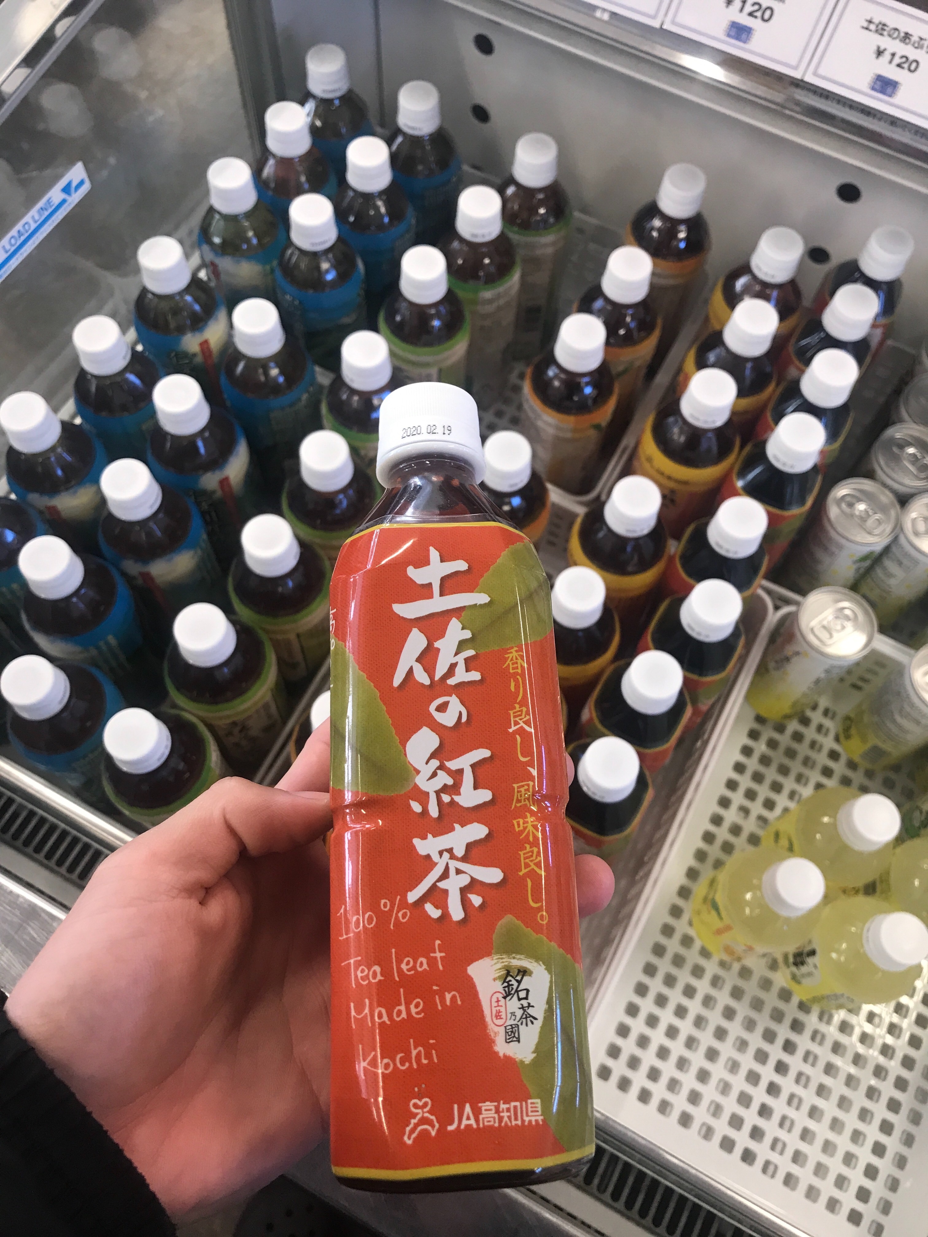 f:id:ikt_japan:20200201203406j:image