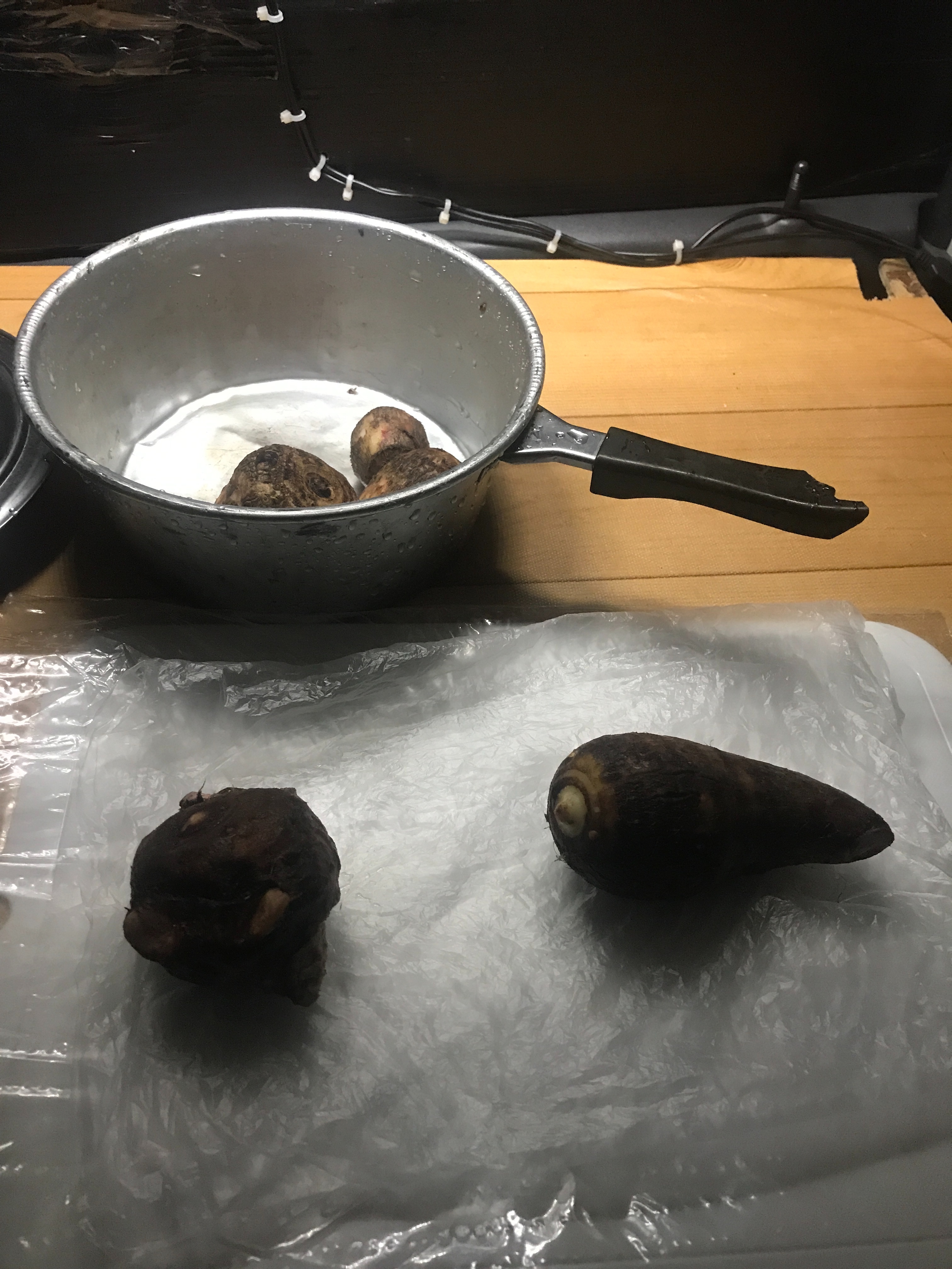 f:id:ikt_japan:20200206192035j:image