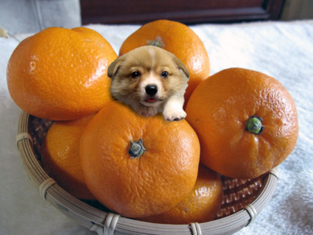 f:id:iku1222:20090114133115j:image