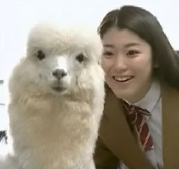 f:id:iku1222:20090114134742j:image