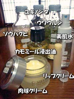 f:id:iku1222:20090303192111j:image