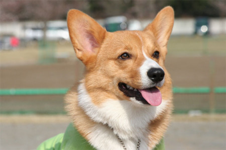 f:id:iku1222:20090508234459j:image