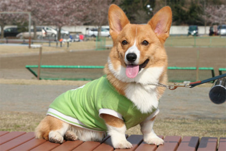 f:id:iku1222:20090508234501j:image