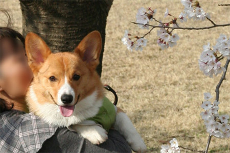 f:id:iku1222:20090508234502j:image