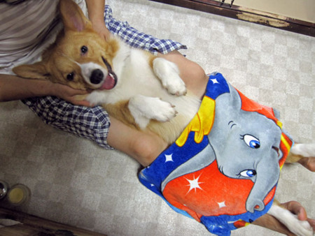f:id:iku1222:20090903125437j:image