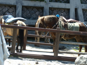 f:id:iku1224:20090816121032j:image f:id:iku1224:20090816121032j:image