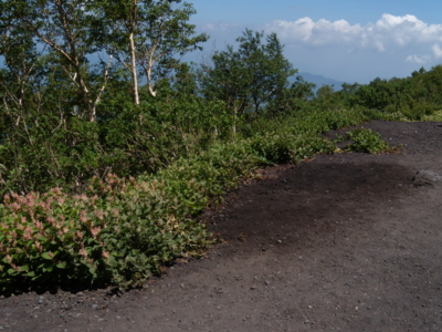 f:id:iku1224:20090816121827j:image f:id:iku1224:20090816121827j:image