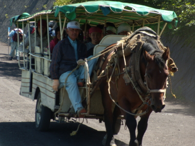 f:id:iku1224:20090816122146j:image f:id:iku1224:20090816122146j:image