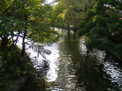 f:id:iku1224:20090906154508j:image f:id:iku1224:20090906154508j:image