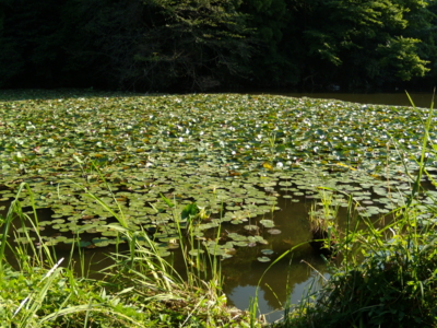 f:id:iku1224:20090906162129j:image f:id:iku1224:20090906162129j:image
