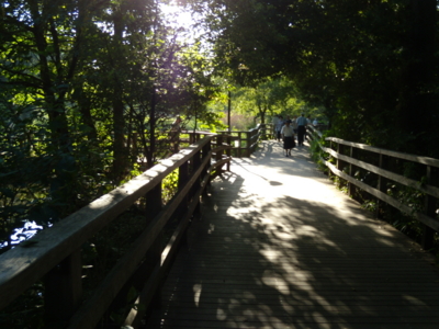 f:id:iku1224:20090906162218j:image f:id:iku1224:20090906162218j:image