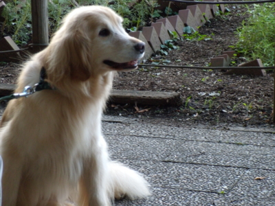f:id:iku1224:20090906165743j:image f:id:iku1224:20090906165743j:image