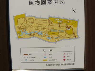 f:id:iku1224:20090913143637j:image f:id:iku1224:20090913143637j:image