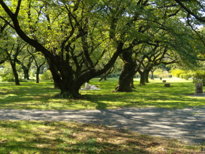 f:id:iku1224:20090913143913j:image f:id:iku1224:20090913143913j:image
