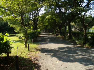 f:id:iku1224:20090913144149j:image f:id:iku1224:20090913144149j:image