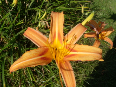 f:id:iku1224:20090913145405j:image f:id:iku1224:20090913145405j:image