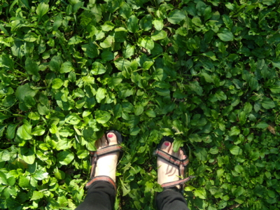 f:id:iku1224:20090913150009j:image f:id:iku1224:20090913150009j:image