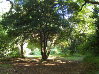 f:id:iku1224:20090913150105j:image f:id:iku1224:20090913150105j:image