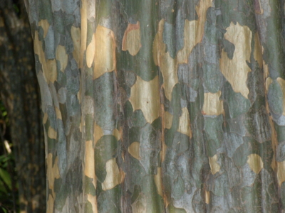 f:id:iku1224:20090913151105j:image f:id:iku1224:20090913151105j:image