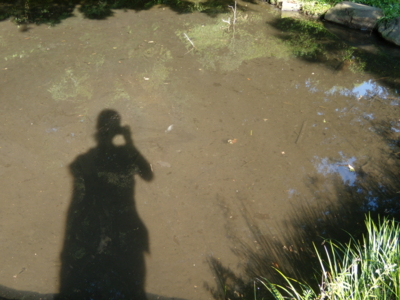 f:id:iku1224:20090913151840j:image f:id:iku1224:20090913151840j:image