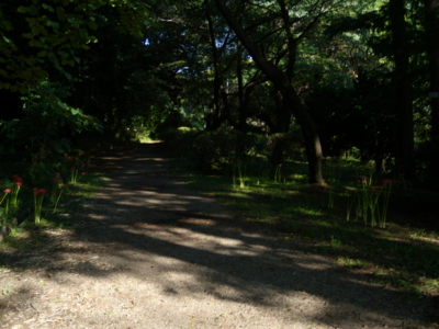 f:id:iku1224:20090913153248j:image f:id:iku1224:20090913153248j:image