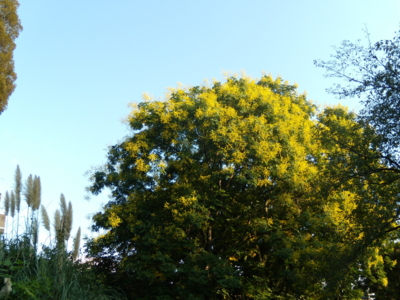 f:id:iku1224:20090913160309j:image f:id:iku1224:20090913160309j:image