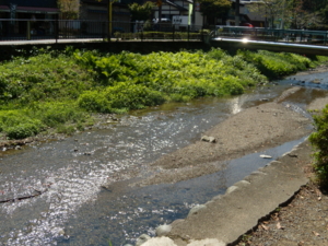 f:id:iku1224:20090916105638j:image f:id:iku1224:20090916105638j:image