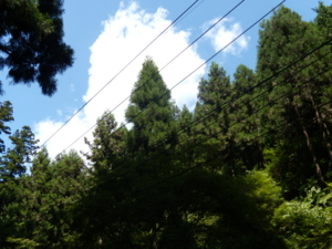 f:id:iku1224:20090916111428j:image f:id:iku1224:20090916111428j:image