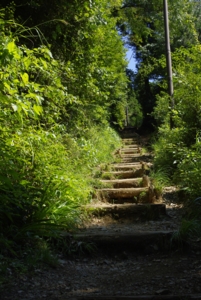 f:id:iku1224:20090916112803j:image f:id:iku1224:20090916112803j:image