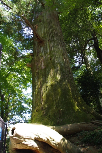 f:id:iku1224:20090916120819j:image f:id:iku1224:20090916120819j:image