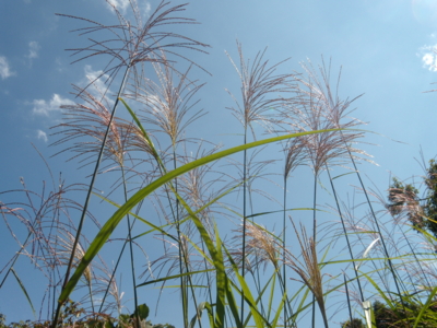 f:id:iku1224:20090916125149j:image f:id:iku1224:20090916125149j:image