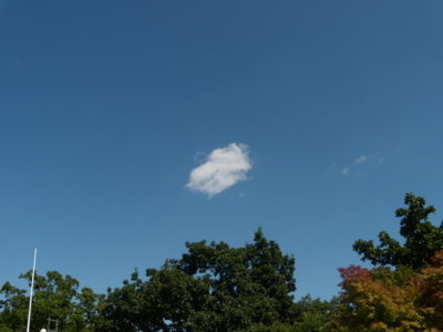 f:id:iku1224:20090916125445j:image f:id:iku1224:20090916125445j:image