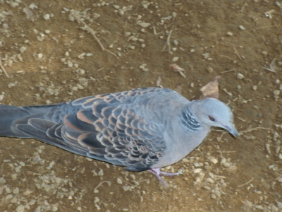 f:id:iku1224:20090916135019j:image f:id:iku1224:20090916135019j:image