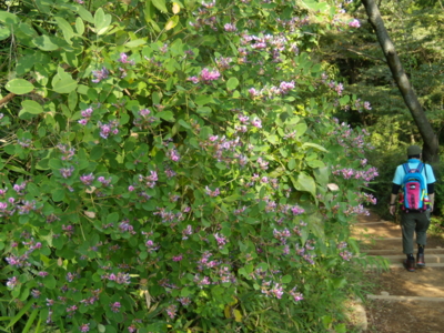 f:id:iku1224:20090916135610j:image f:id:iku1224:20090916135610j:image