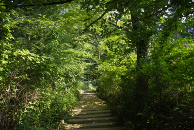 f:id:iku1224:20090916141139j:image f:id:iku1224:20090916141139j:image